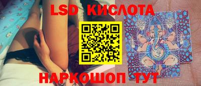 дживик Камышлов
