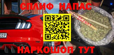 дживик Камышлов