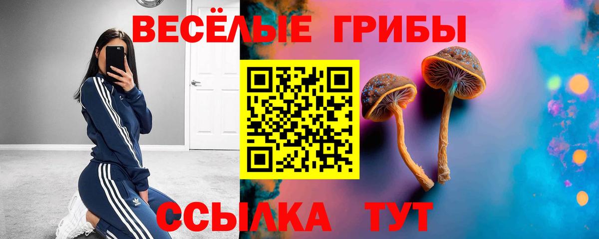Ливны  Псилоцибиновые грибы прущие грибы  Вход с VPN 